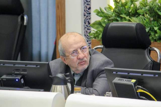دولت برای رهایی از بحران اقتصادی از الگوی مشارکتی و واگذاری وظایف به شوراها استفاده کند